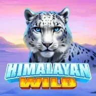 Himalayan Wild screenshot